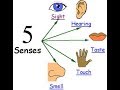 Verbs of the Senses - Learn English online free video lessons - Kris Amerikos