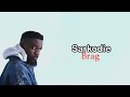 Sarkodie  brag lyrics