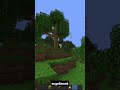 ASLA EV KAYBETMEYİN?!😯😯 #minecraft #meme#minecraftfacts