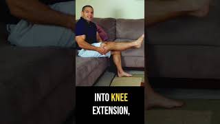 The 3 Essentials For Nerve Health