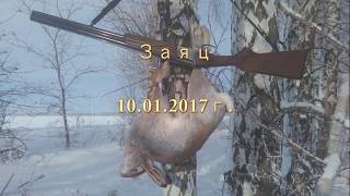 Тропление зайца, друг выполняет роль собаки. (реальные события в стихах) Заяц нагоном Тропление зайца, друг выполняет роль собаки. (реальные события в стихах) Заяц нагоном