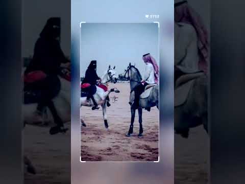 صحيح وبص لينا احنا اسود المدينا السيد الجنتيلي اغاني بدويه البصيلي الجنتل مصر