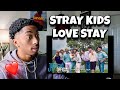 Stray kids lovestay made vexreacts stay 