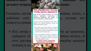 ЧТОБЫ ЧЕСНОК ДОЛГО ХРАНИЛСЯ #огород #чеснок  #кулинария