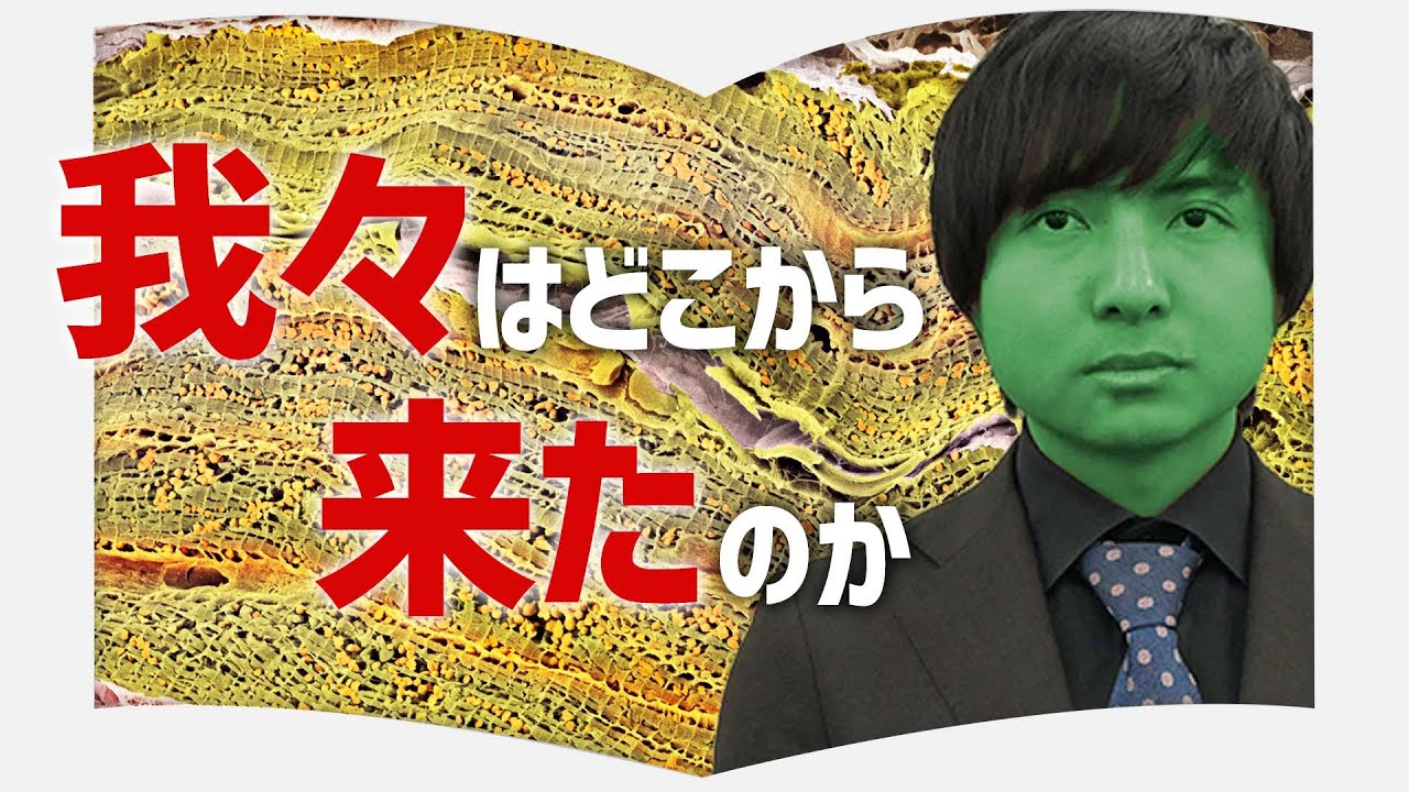 人類みな兄弟 イヴ仮説 を科学的に解説した人類のルーツを辿る一冊 3分書評授業 イヴの七人の娘たち Youtube 人類みな兄弟 イヴ仮説 を科学的に解説した人類のルーツを辿る一冊 3分書評授業 イヴの七人の娘たち Youtube