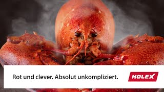 HOLEX. Rot und clever. Absolut unkompliziert.