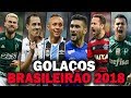 Os Maiores GOLAÇOS do Brasileirão 2018