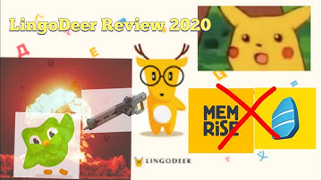 LingoDeer Review 2020 (A language learning app that actually helps you learn)