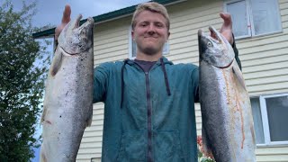 Salmon fishing at Montana Creek Alaska