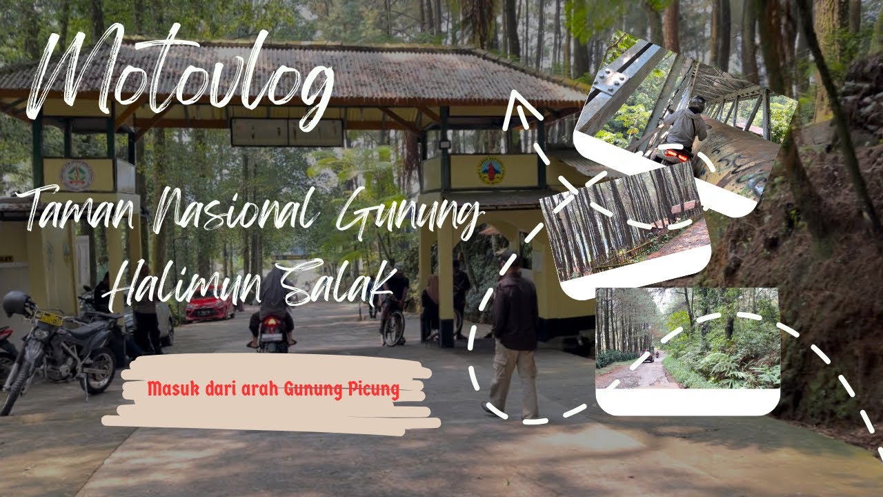 Motovlog : Perjalanan ke Taman Nasional Gunung Halimun Salak Bogor dari arah Gunung Picung