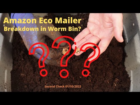Amazon Eco Mailer to a Worm Bin?? First Update 01/10/2022