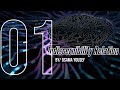 #01 - Indiscernibility Relation and Information Systems [Arabic]