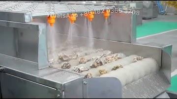 Oyster Washing and Sorting Machine Shellfish Shell Clam Cleaning Machine Seafood Tumbler Sorter