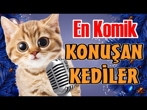 En Komik Bölümler - Konuşan Kediler