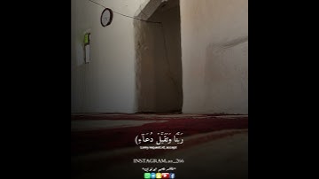 حالات واتساب قرآن كريم|| ربي اجعلني مقيم الصلاه ومن ذريتي|| تلاوه خاشعه ♥️ #فخامه_مصمم_ابولؤي #قرآن