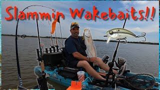 Slammin Redfish On Wakebaits!  Kayak Fishing Trip With Bill & Will