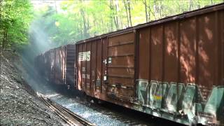 NS 187 Through Oak Tunnel