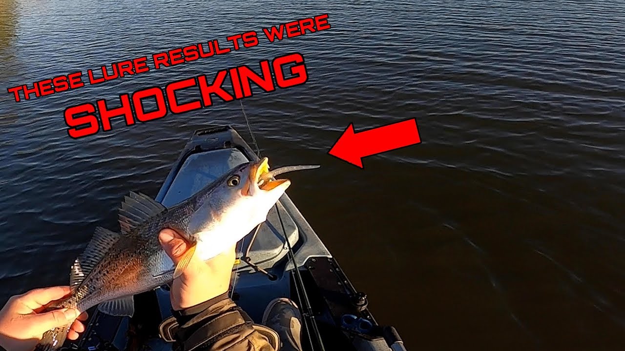 The BEST Speckled Trout Lure for 2021 YouTube