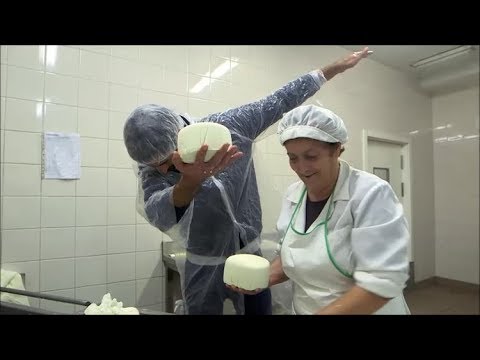 Raminhos aprende a fazer queijo | Missão: 100% Português | RTP