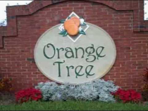 2021 House Of Orange Trees