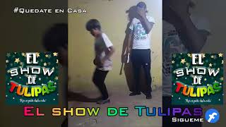 #Tulipas y sus Ocurrencias #2  (Show de tulipas)