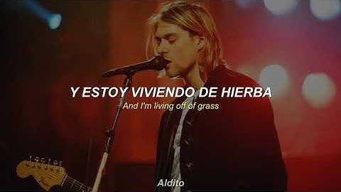 Nirvana - Something In The Way (Album Version) Sub. Español