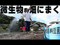 【土づくり講座】微生物を培養して誰でも簡単に土をふかふかにする方法【BLOF理論】