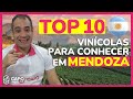 TOP 10 MELHORES VINÍCOLAS DE MENDOZA NA ARGENTINA - A DISNEYLÂNDIA DOS VINHOS!