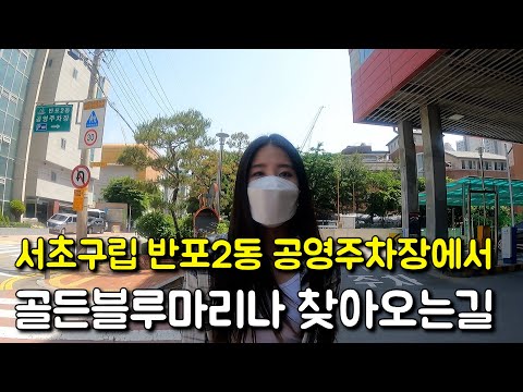   서초구립 반포 2동 공영주차장에서 골든블루마리나 찾아오는길