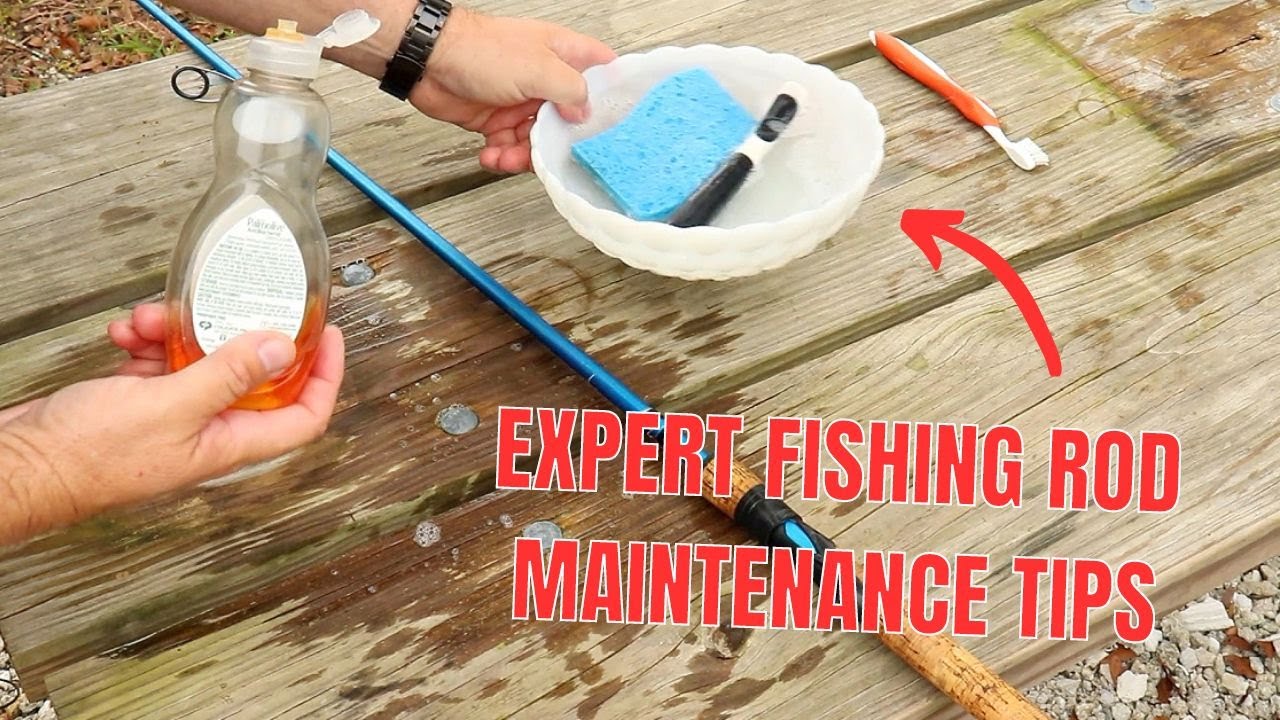 How To Get Your Money's Worth Out Of Your Fishing Rod 