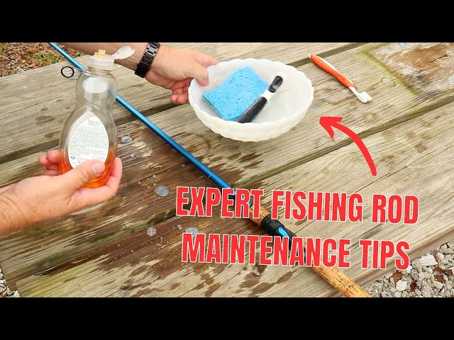 How To Get Your Money's Worth Out Of Your Fishing Rod 