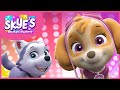 Thank You Mighty Pup Heroes Skye S Music Party PAW Patrol Music Cartoons For Kids mp3