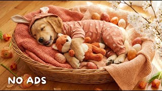 12 Hours Of Dog Calming Music🎵Relaxing Sleep Aid for Puppies🐶Separation Anxiety Relief Music💖Deep...
