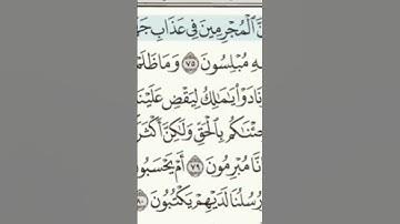 تلاوة من سورة الزخرف 74-89 | الشيخ إسلام الشربيني المأذون