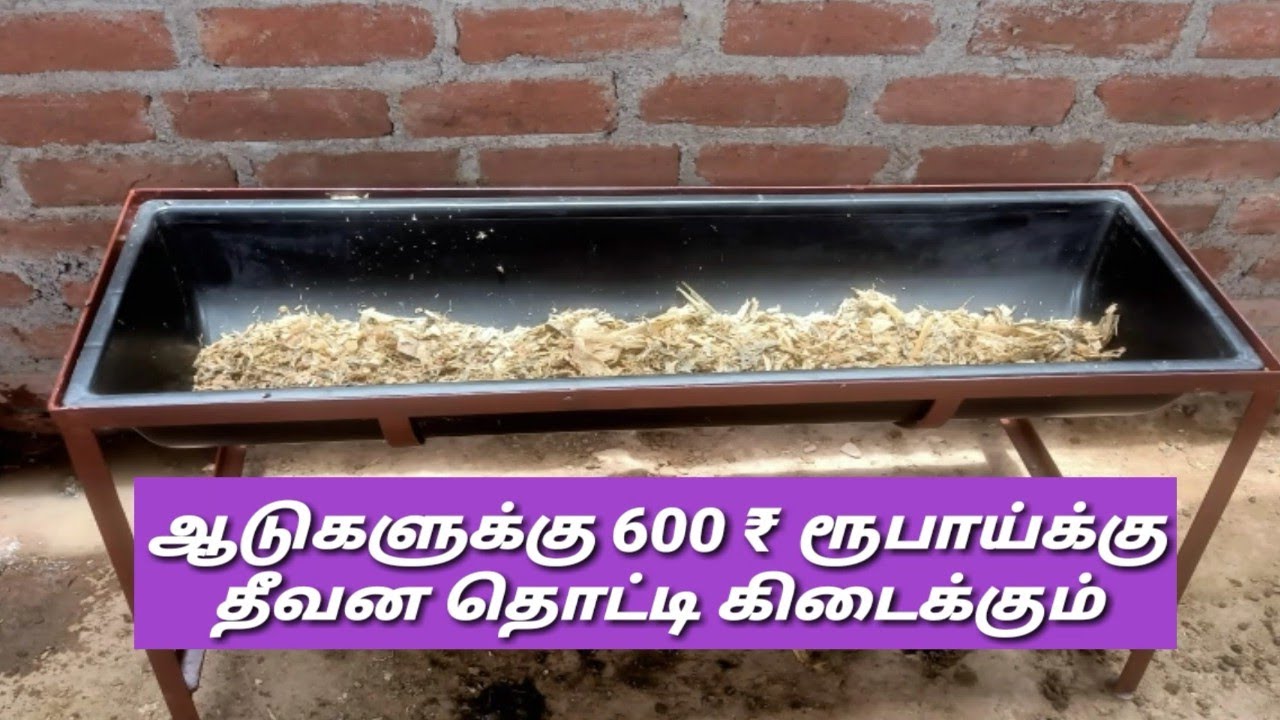 Low Cost Goats Feeder Tray