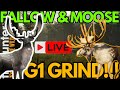 LETS SETUP FOR MOOSE &amp; GRIND FOR FALLOW!!! - Call of the Wild (Live)