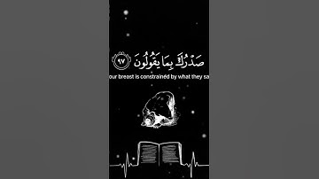 الشيخ هزاع البلوشي سورة الحجر #المصحف #اكسبلور #قران_كريم #quran #quotes