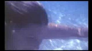 The Sealevel - The Way With You