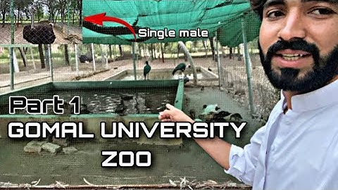 Gomal university Zoo.part 1🤩 #chargulvlogs #gomaluniversity #vlogs #deraismailkhan #zoo
