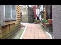 階段国道339号線