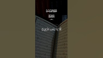 كلا اذا بلغت التراقي وقيل من راق 🤍 تلاوه خاشعه بصوت الشيخ #بدر_التركي #قران_كريم #quran #اكسبلور