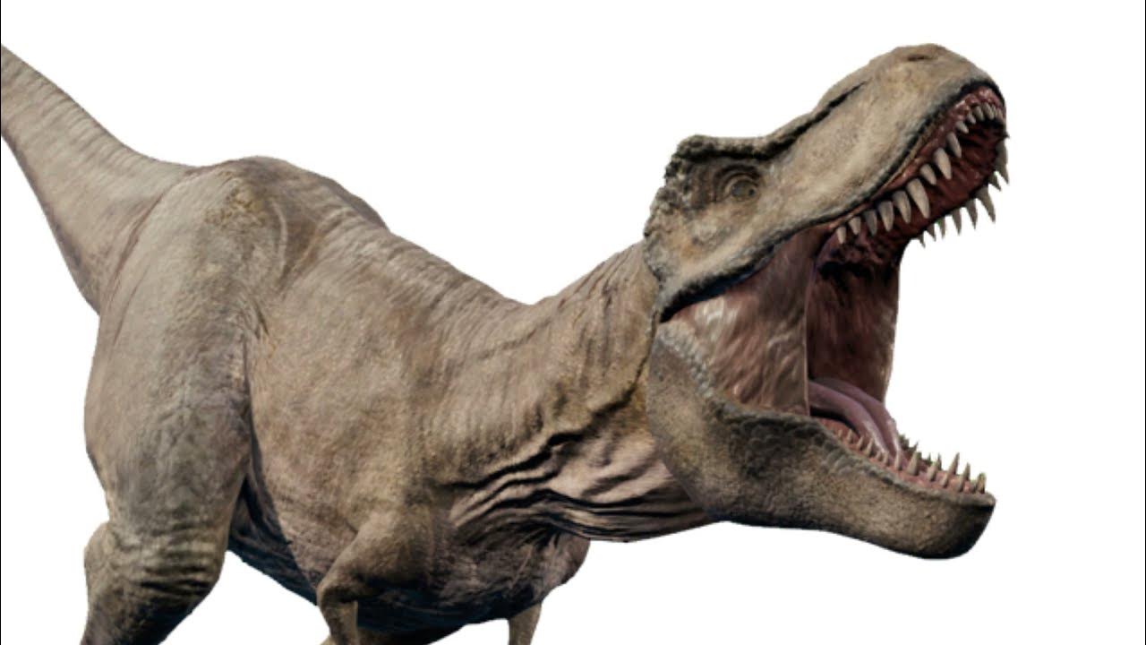 тарбозавр вики фэндом фото 75
