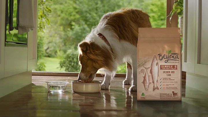 Purina® Beyond® high quality dog food made with selected natural ingredients - DayDayNews