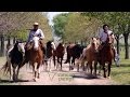 Tour to San Antonio de Areco Town & Estancia by Camino Pampa - departing from Buenos Aires