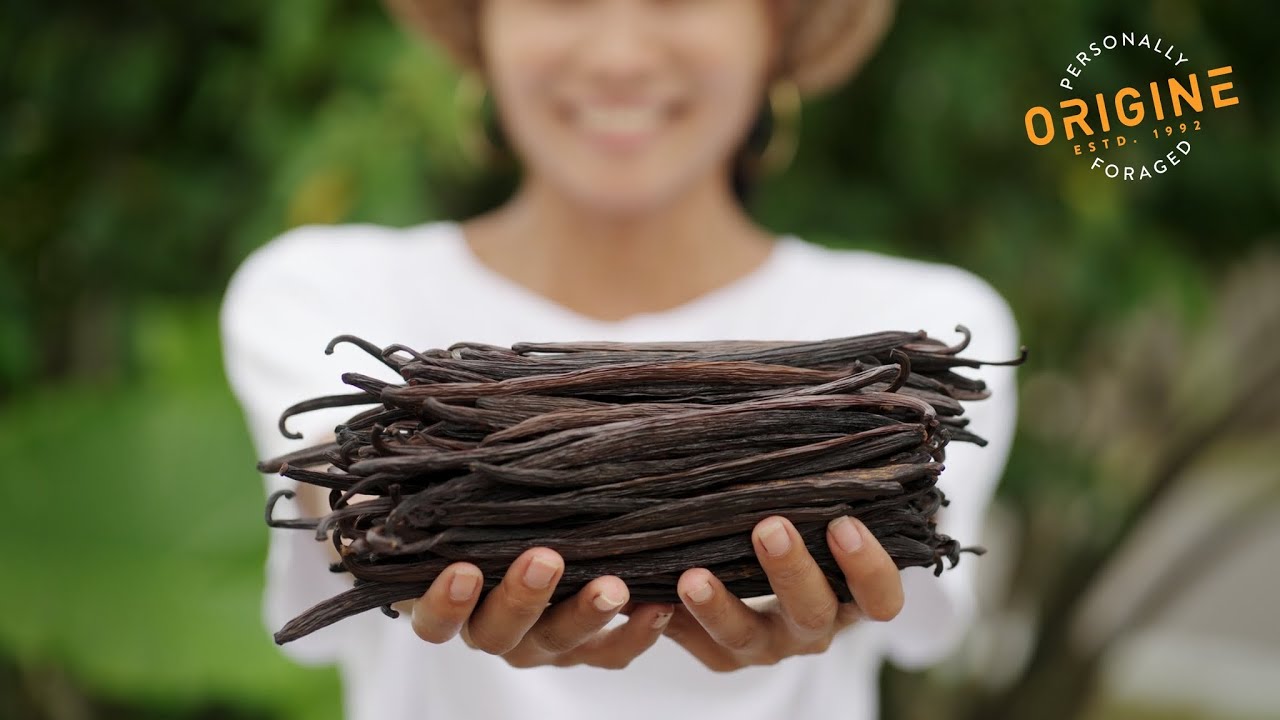 Gourmet Indonesian Vanilla - From Green Pods to Perfectly Cured Vanilla Beans