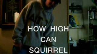 how high can squirrel jump?
