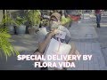 Valentine Special Part 1: Dong Delivers Flora Vida | The Dantes Squad