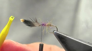 Glanrhos Palette - tied by Hans Weilenmann