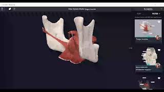 Introductory Webinar on Complete Anatomy (3D4Medical) from Elsevier