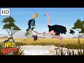 Ostrich and Cheetah Adventure Quiz